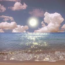 Ảnh đại diện của Anita